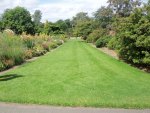 Summer garden At Ness Gardens UK