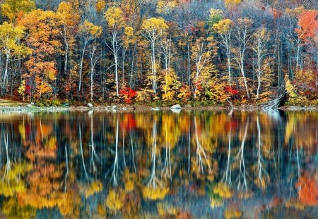 REFLECTIONS OF AUTUMN - reflections, lakes, autumn, fall, trees, seasons, waterscapes, autumn colours