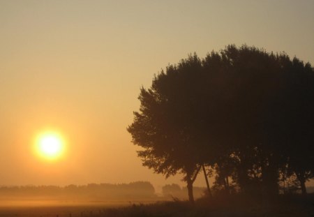 Dawn - morning, nature, sky, sun