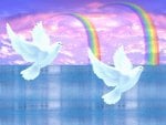 2doves and 2 rainbows