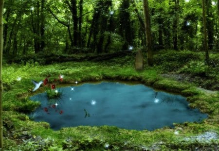 magic pond - water, flowers, grass, trees