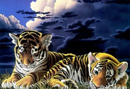 2 Brother Tigers - hd, nature, baby, galaxy, big cats, grass, fantasy, tigers