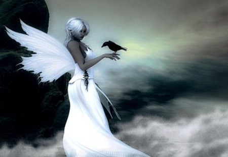 blackbird angel - bird, abstract, white, wings