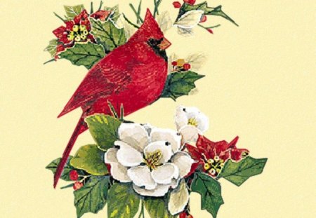 cardinal christmas - leaves, flowers, bird, red