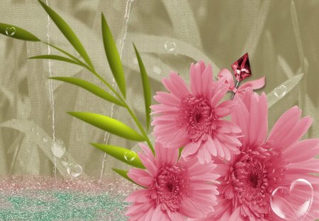 Pink flowers - pretty, delicate, beautiful, drops, lovely, pink, leaves, flowers, gerberas, soft, butterfly, nice, hearts