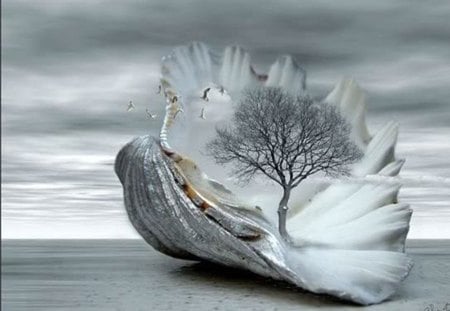 cool morning day - tree, shell, fantasy, surreal