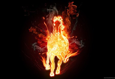 Fire Horse - fantastic, horse, fire, amazing