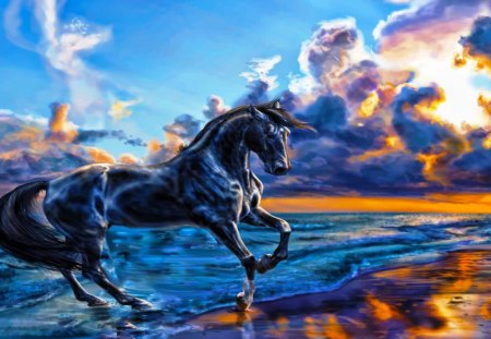 Black Stallion - clouds, water, waves, sea, horse, sun