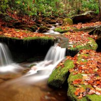 Autumn Waterfall