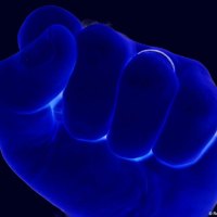 Black And Blue Fist