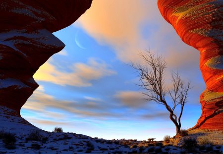 ROCKY FRAME - clouds, moon, nature, rock, tree, sky