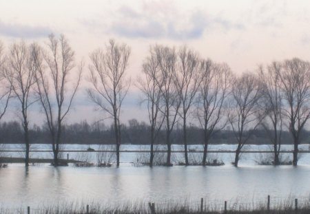 Flooded - nature, water, flood, river