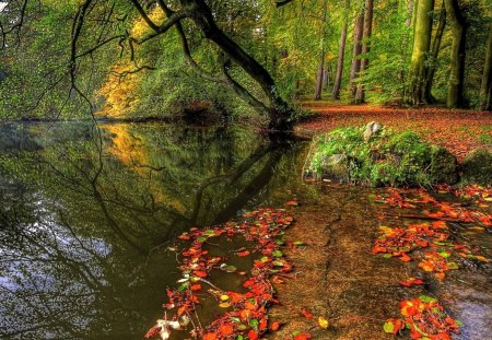 forest lake at the start of autumn - lake, forest, rocks, leaves