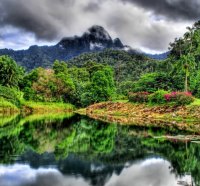 lake at the edge of a jungle hdr