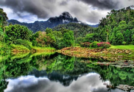 lake at the edge of a jungle hdr - lake, clouds, flowers, lungle, hdr