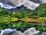 lake at the edge of a jungle hdr