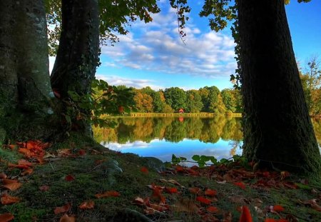 Beautiful Scenery - clouds, trees, water, nature, blue, lake, reflection, sky