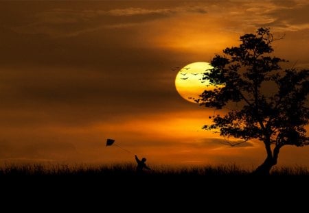 Kite Flyer - glow, sunlight, beautiful, sky