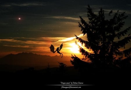 dragon sunset - dragon, tree, clouds, sun