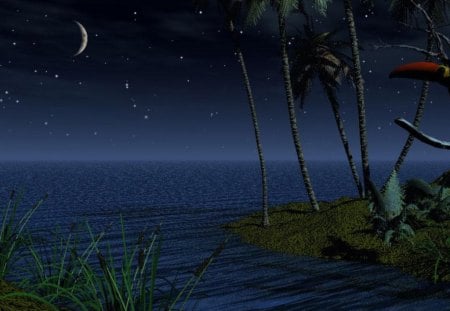 fantasy island - moon, water, trees, bird