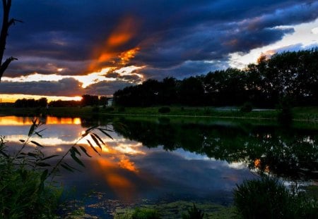 LAKE at TWILIGHT - sky, lake, trees, clouds, twilight, plants