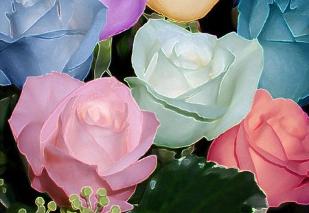 different colored roses - leaves, flowers, blue, pink