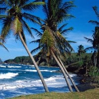 Summer Waves in St. Lucia, Caribbean 