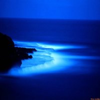 Blue Beach of the Night