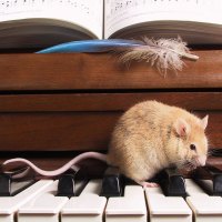 Musician mouse