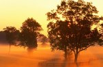 Landscape at morning dusk