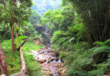 Waterfall - waterfall, mountain, bamboo grove, rocks