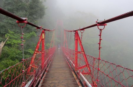 Suspension bridge - fog, hiking, suspension bridge, mountain, tree