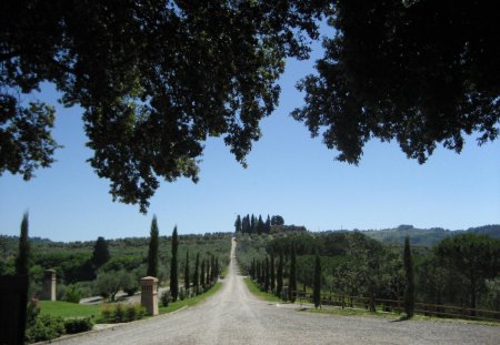 Road to Tenuta di Sticciano Italy - nature, sky, trees, road