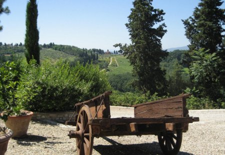 Tuscany Italy - italy, trees, photography, mountains, path, nature, view, tree, old