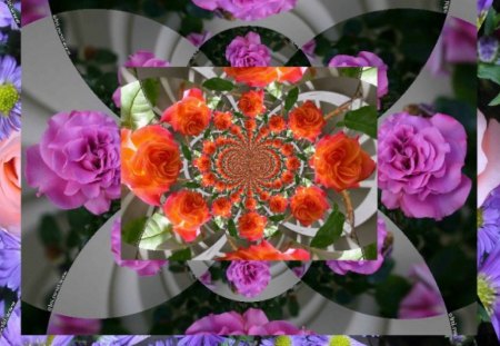 ROSE LAYERS - roses, orange, pink, purple