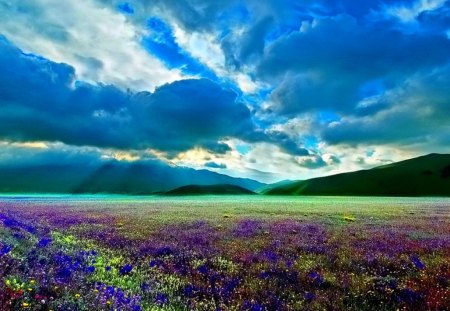 Meadow under the blue sky - calm, clouds, carpet, summer, blue, beautiful, grass, meadow, flowers, nature, purple, rays, green, field, sky