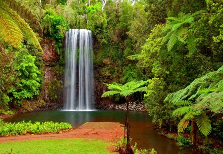 Hidden paradise - greenery, trees, branches, water, creek, forest, fall, river, nature, waterfall, green, hidden, paradise, emerald