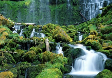 proxy falls cascade range oregon - falls, logs, cascade, moss, rocks