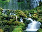 proxy falls cascade range oregon