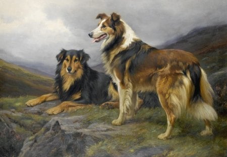 COLLIE COMPANIONS - animals, pets, mountains, ruff collie, art, dogs, friends, paintings, collie dogs, cliffs