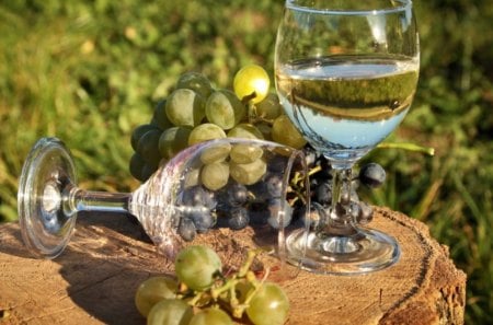 A SUMMERS EVENING - love, glasses, refreshment, wine, outdoors, fruit, tranquility, romance, grapes