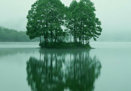 green reflection - nature, water, trees, reflection