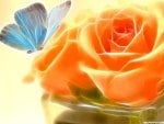 Butterfly_n_Roses