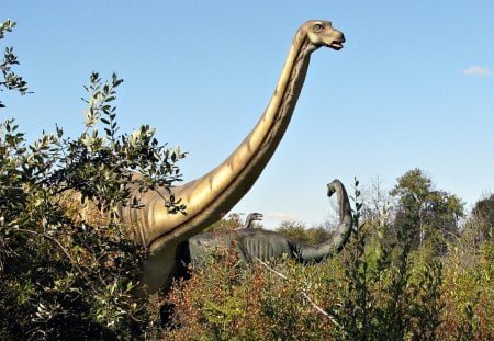 Apatosaurus (Animatronic) - dinosaur, forest, nature, display