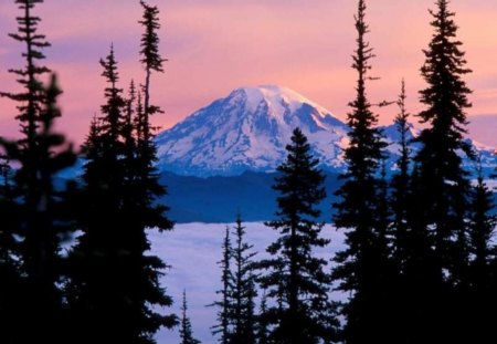 winter in the mountains - sky, mountains, trees, snow