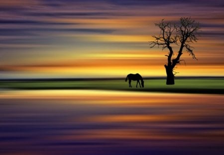 Horse and tree - nature, horse, tree, sky, animals