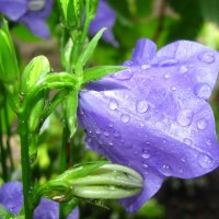 after rain, for Deejay