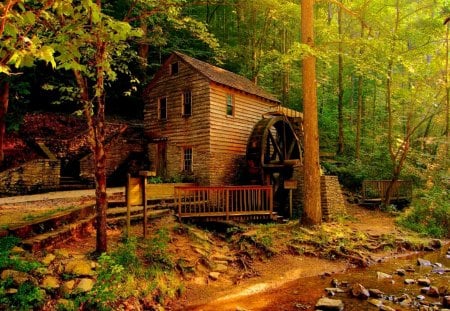 Forest mill - trees, lonely, summer, beautiful, mill, forest, lovely, stones, path, colorful, nature, water mill, hidden, nice