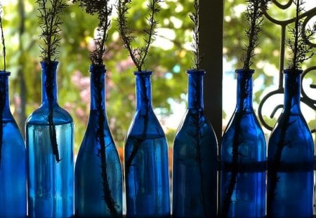 Blue Bottles Vases - collection, glass, window, blue, bottles, line, vase