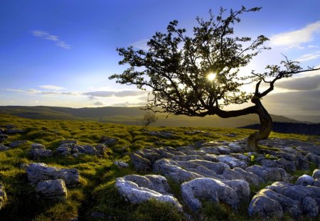 BRIGHT MORNING - hills, nature, landscape, field, morning, mountains, rocks